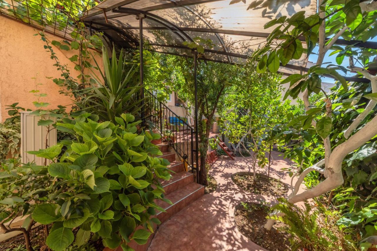 Apartments Pod Lozom With Seaview Petrovac 部屋 写真
