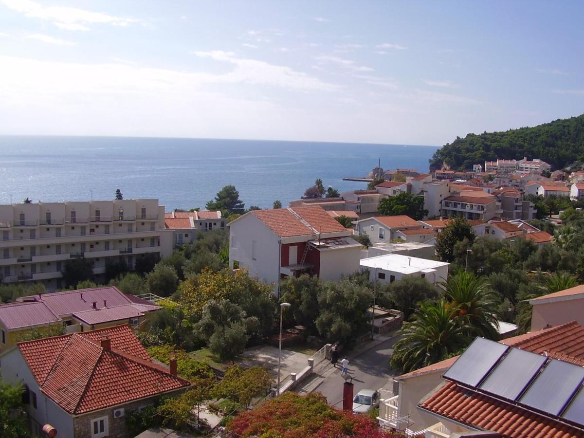 Apartments Pod Lozom With Seaview Petrovac 部屋 写真